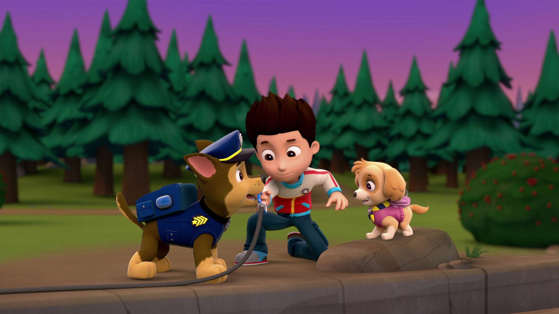 Paw Patrol S01 B22